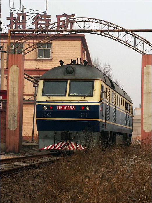 DF11 0168.jpg
